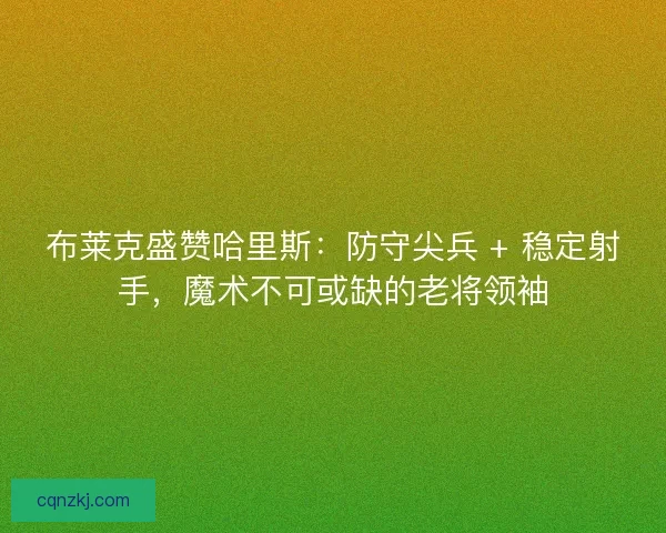 布莱克盛赞哈里斯：防守尖兵 + 稳定射手，魔术不可或缺的老将领袖