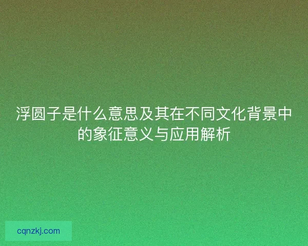 浮圆子是什么意思及其在不同文化背景中的象征意义与应用解析